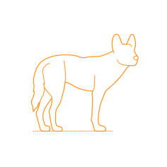 Animals Canini Dingo Simple Line Art Svg, Free Vectors File